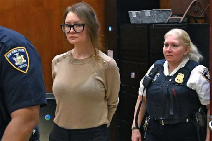 Anna Delvey's father speaks out about his daughter's actions Tatler