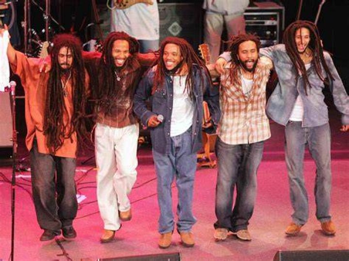 Bob Marley Sons Hair