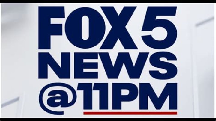 Fox News' Tammy Bruce Don't Cancel Don Lemon