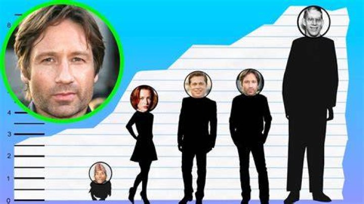 How tall is David Duchovny? Height of David Duchovny CELEBHEIGHTS&trade;