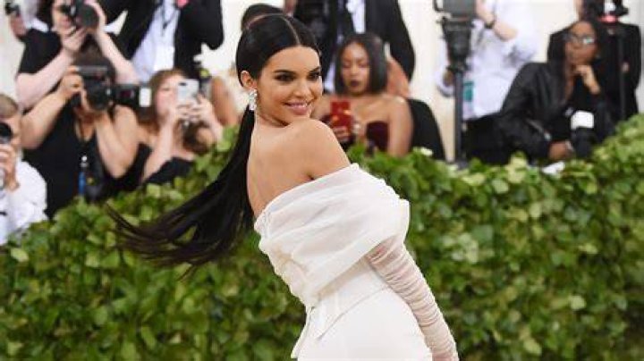 Kendall Jenner Spends Her Saturday With An Unlikely New Friend Access