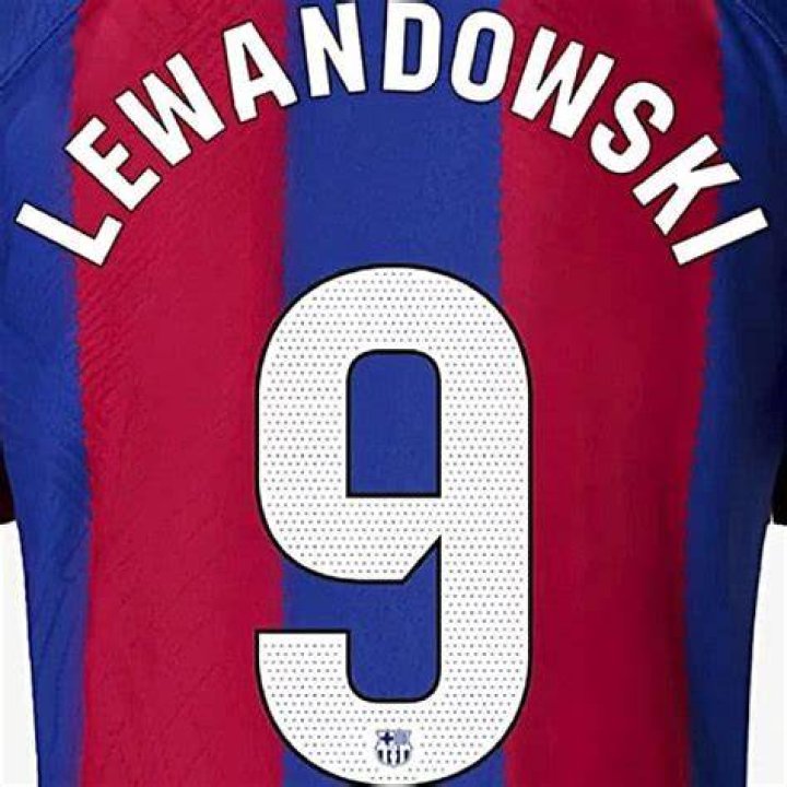 Learn The Number Of Lewandowski's Offspring