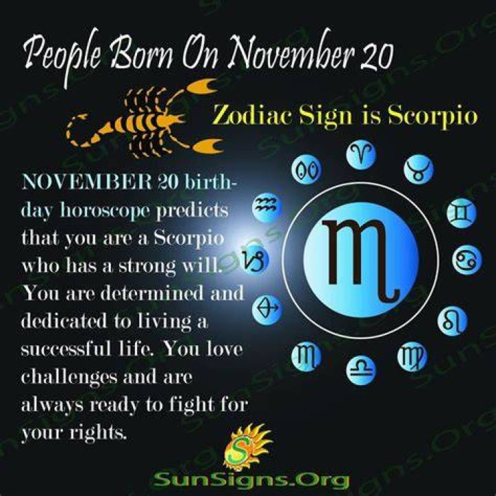 November 20 Birthday horoscope zodiac sign for November 20th