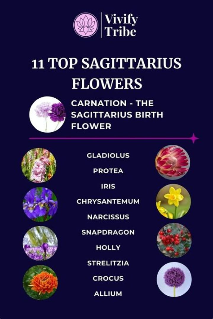 Sagittarius flowers Sagittarius flower, Zodiac signs sagittarius