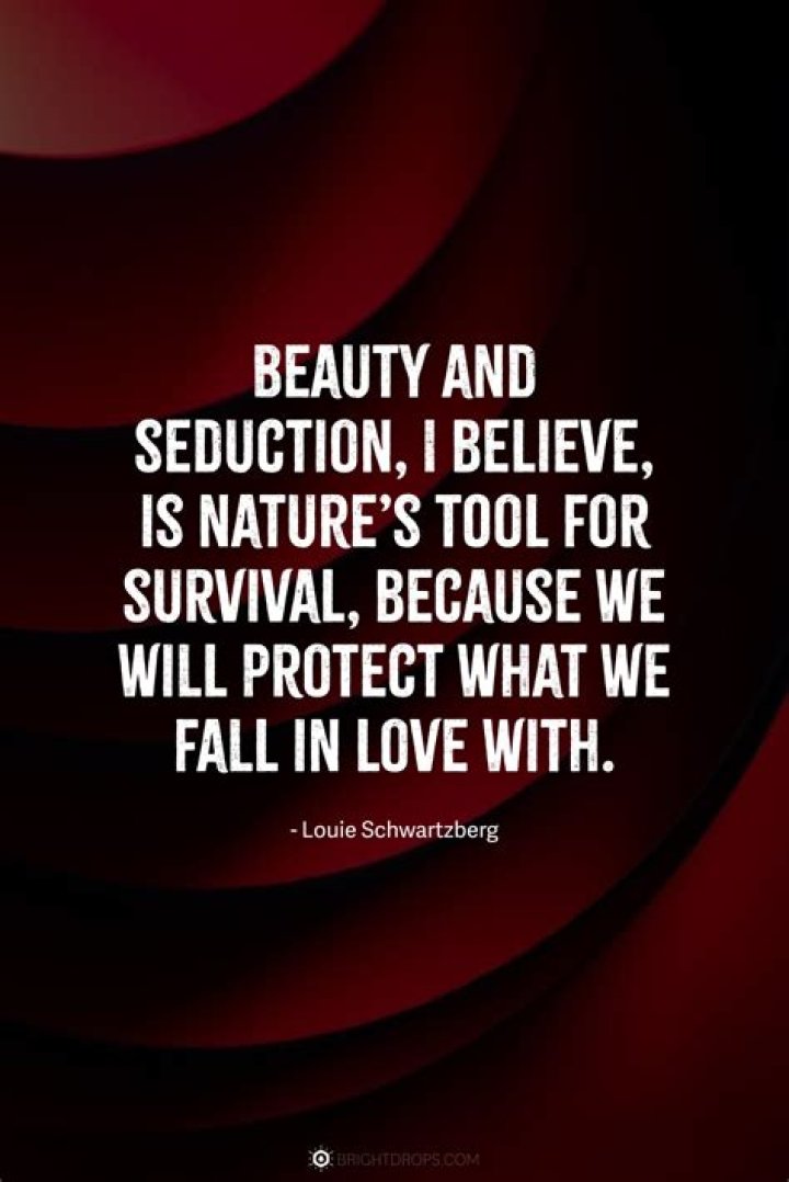Seductive Quotes