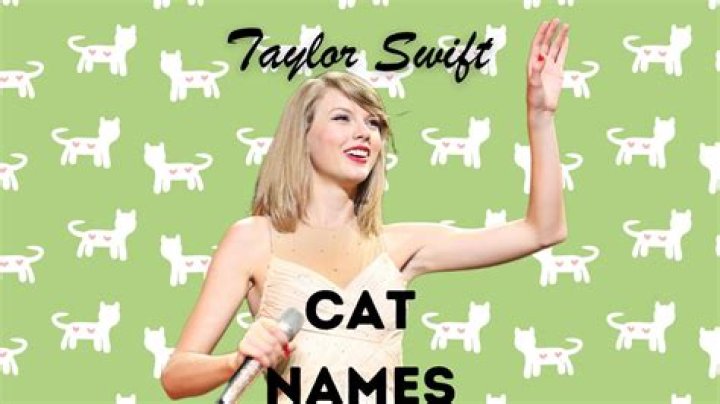 Taylor Swift cats&rsquo; names How many cats does T Swift have? What breed