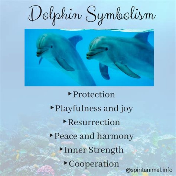 What Do Dolphins Mean Spiritually Spirit Restoration